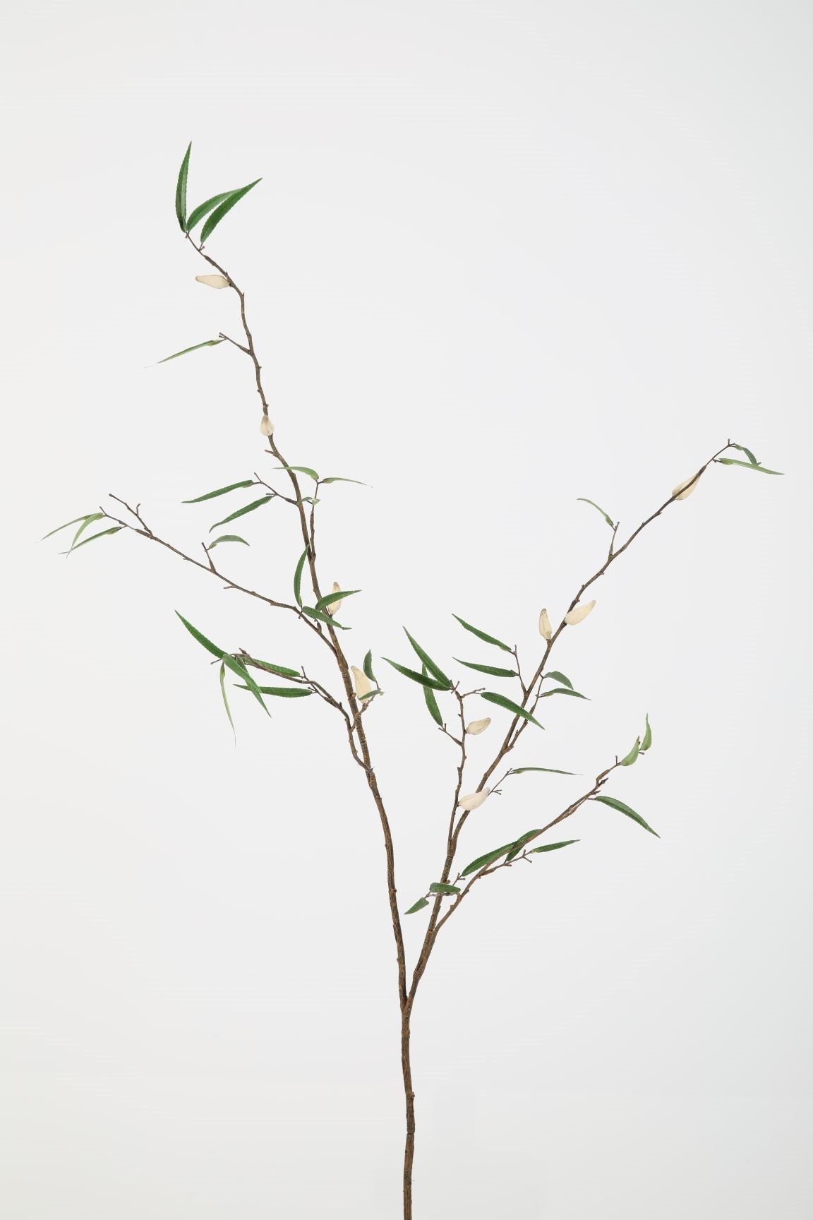 Kunsttak van Pod Branch met witte knoppen, 147 cm hoog, met elegante takken en knoppen die een verfijnde uitstraling geven.