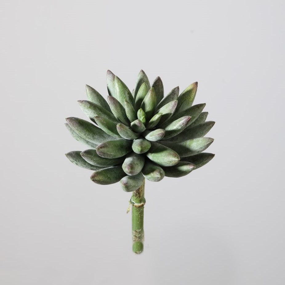 Set van twee kunstplanten in de vorm van succulenten, elk 18x11 cm, met realistische groene bladeren die een moderne uitstraling geven