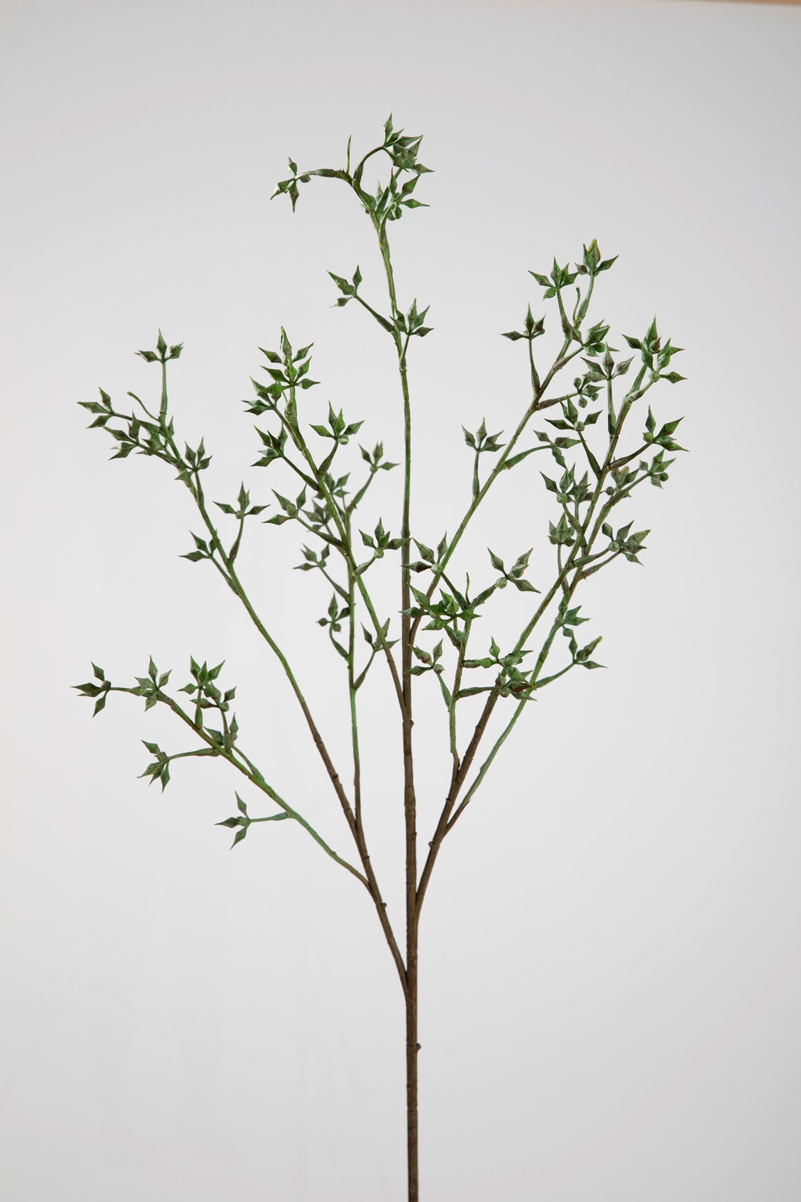 Kunsttak van eucalyptus in frisse groene tinten, 89 cm lang, perfect voor het creëren van een natuurlijke sfeer in huis.