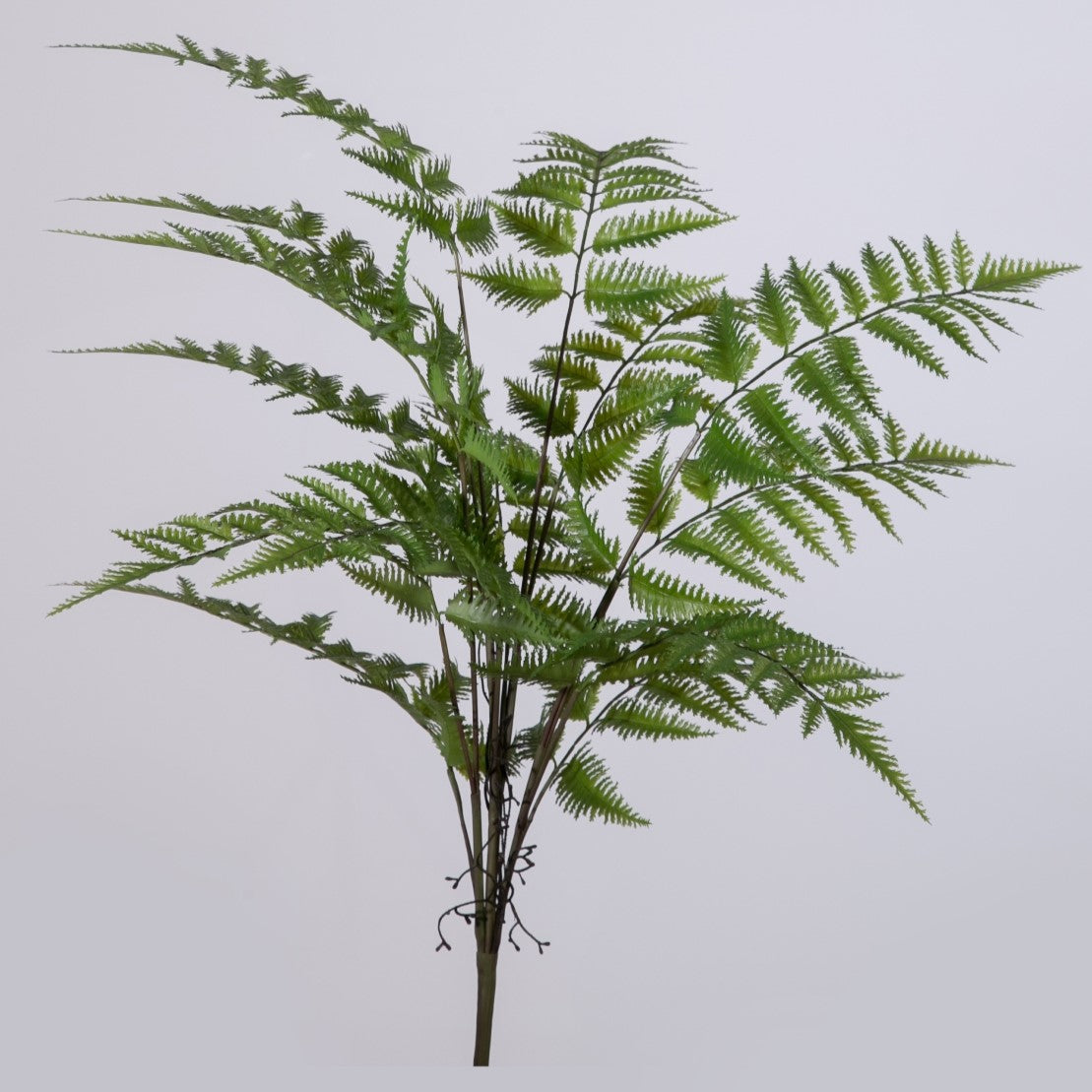 Kunsttak van een varen palm, 75 cm lang, met weelderige groene bladeren die een warme sfeer toevoegen aan elke ruimte.