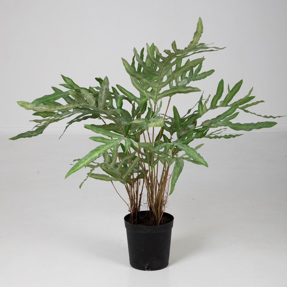 Kunstplant van zinkvaren (Phlebodium), 80 cm hoog, met gedetailleerde, veervormige bladeren die een tropische uitstraling geven.